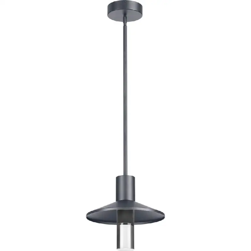 Ash 12 Outdoor Pendant