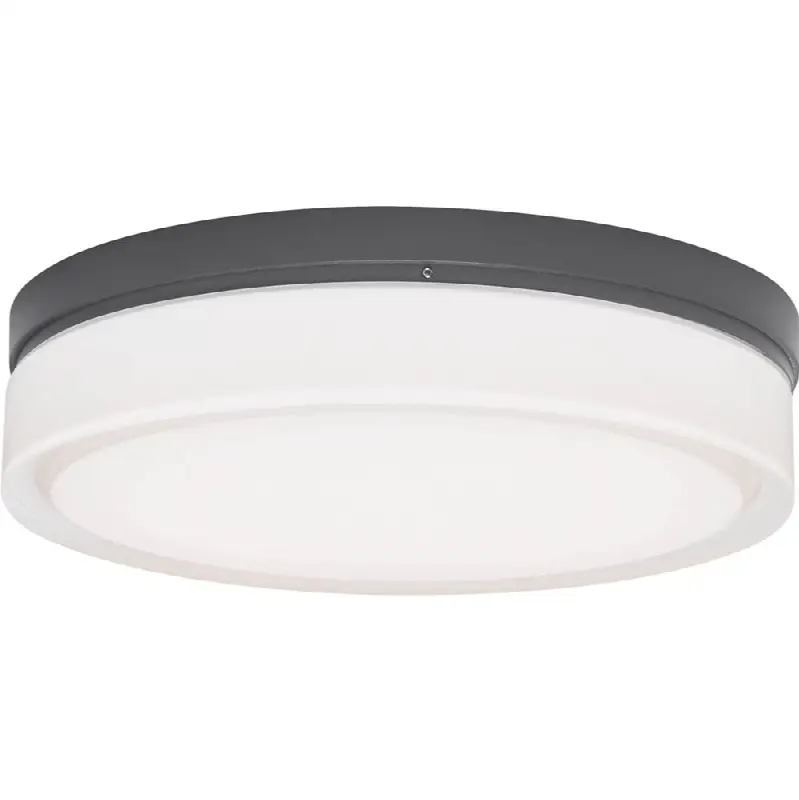 Cirque Large Outdoor Wall/Flush Mount