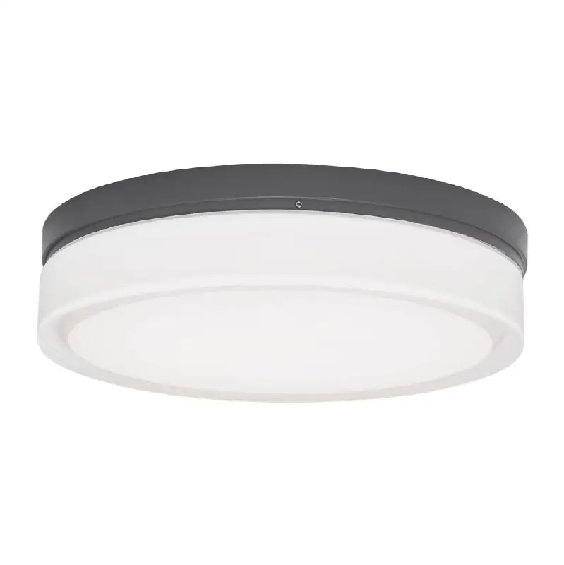 Cirque Large Outdoor Wall/Flush Mount Large