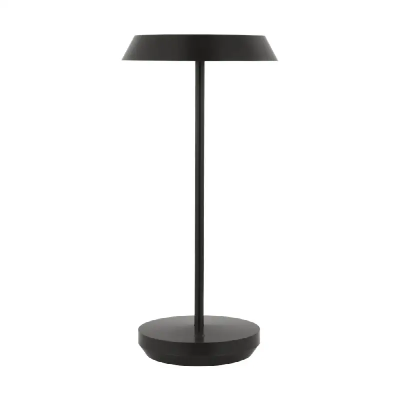 Tepa Accent Rechargeable Table Lamp Bronze 2700K 90 CRI wall charger included