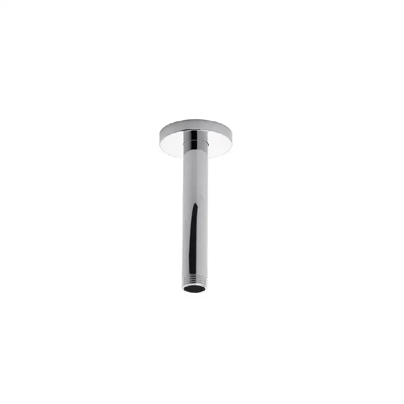 Ceiling shower arm and escutcheon.