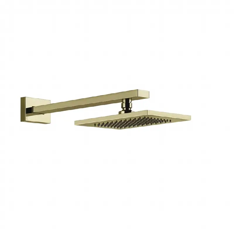 Wall-mounted adjustable shower head with arm