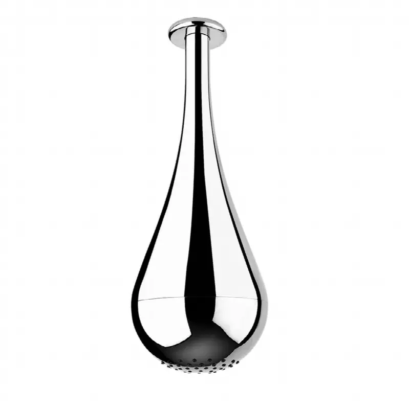 Ceiling-mounted shower head