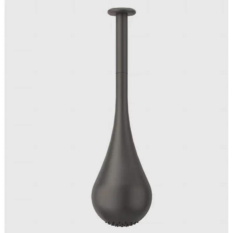 Ceiling-mounted shower head