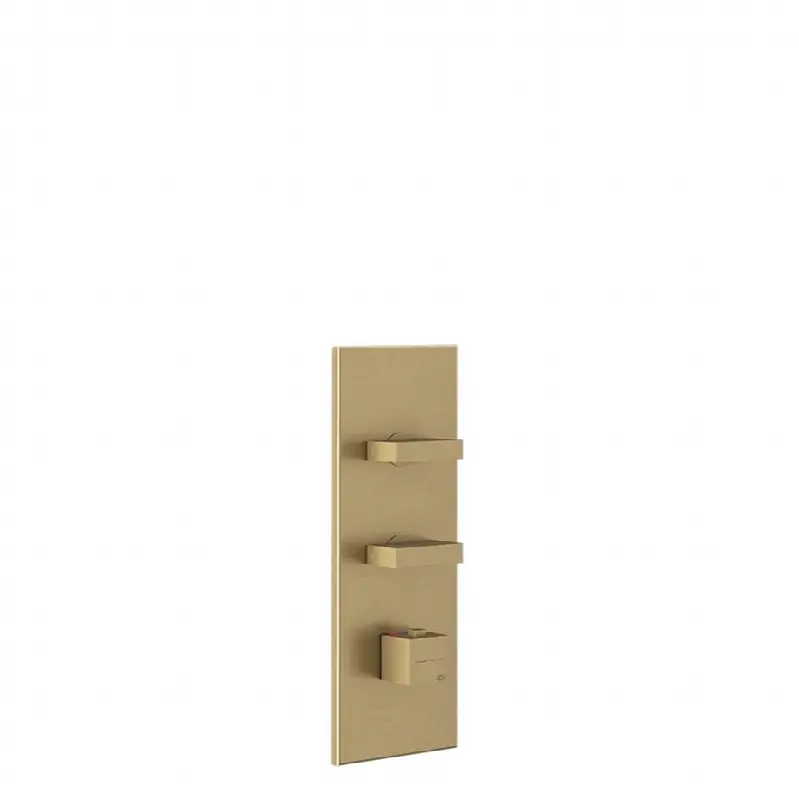 TRIM PARTS ONLY External parts for thermostatic with 2 volume controls