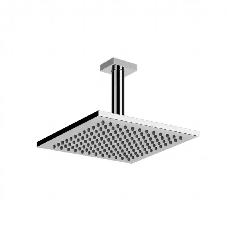 Ceiling-mounted adjustable shower head with arm