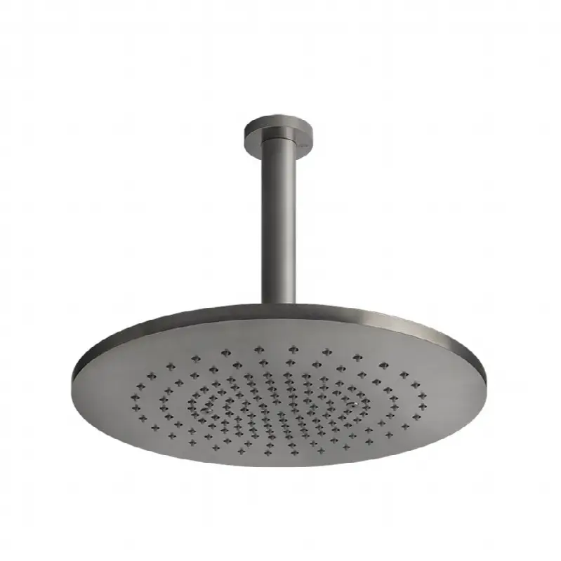 Ceiling-mounted adjustable shower head with arm