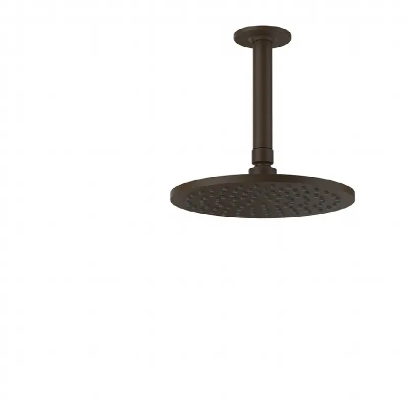 Ceiling-mounted adjustable shower head with arm.
