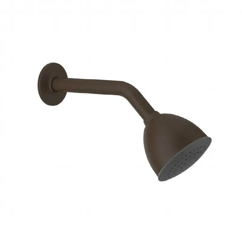 Wall-mounted adjustable shower head with arm