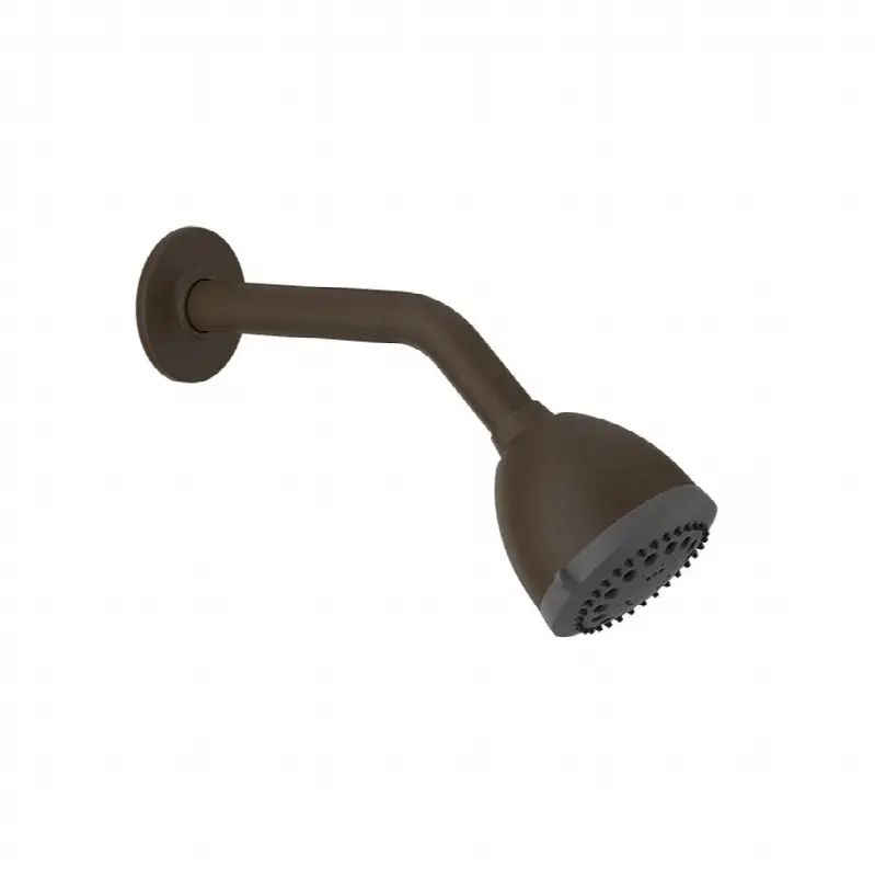 Wall-mounted adjustable multi-function shower head with arm