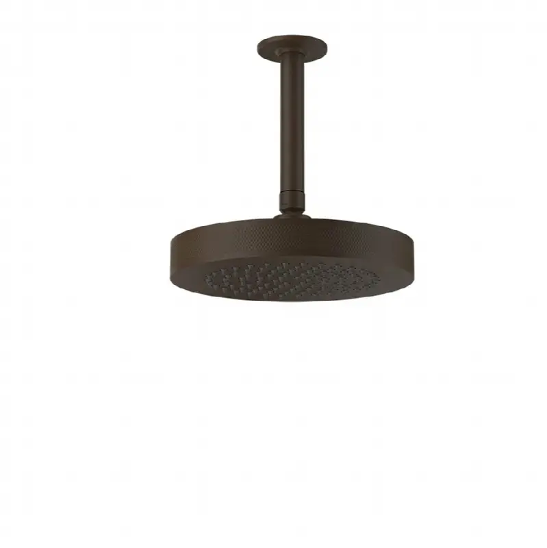 Ceiling-mounted shower head