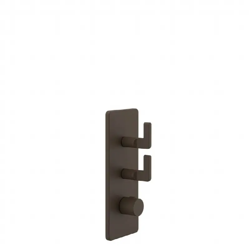 TRIM PARTS ONLY External parts for thermostatic with 2 volume controls