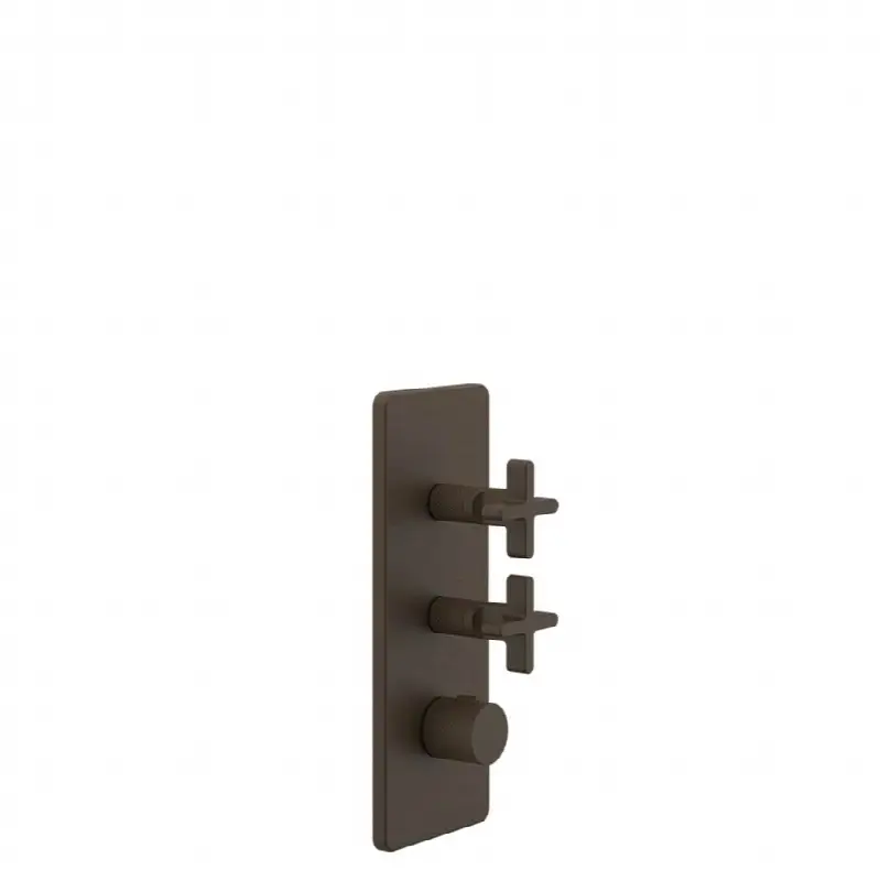 TRIM PARTS ONLY External parts for thermostatic with 2 volume controls