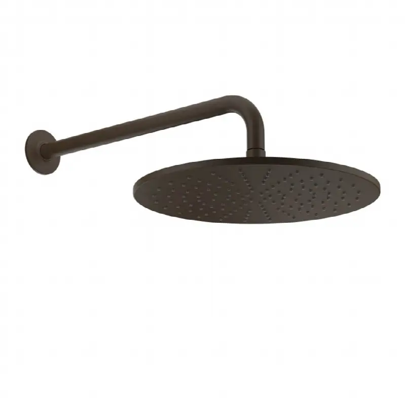 Wall-mounted adjustable shower head with arm.