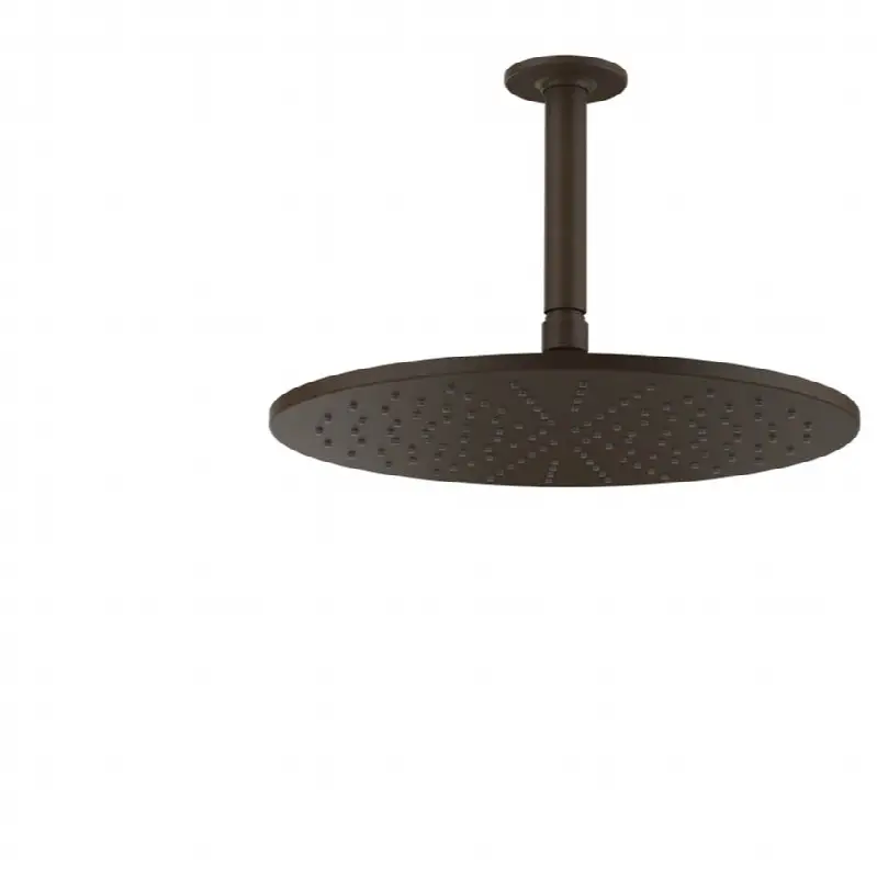 Ceiling-mounted adjustable shower head with arm.