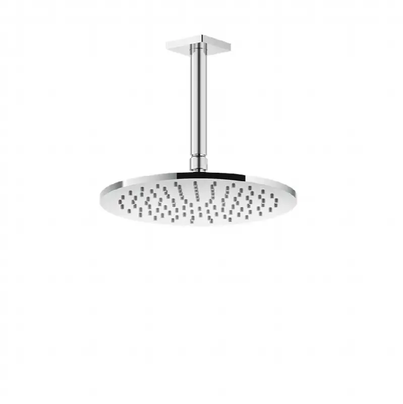 Ceiling-mounted adjustable shower head with arm.