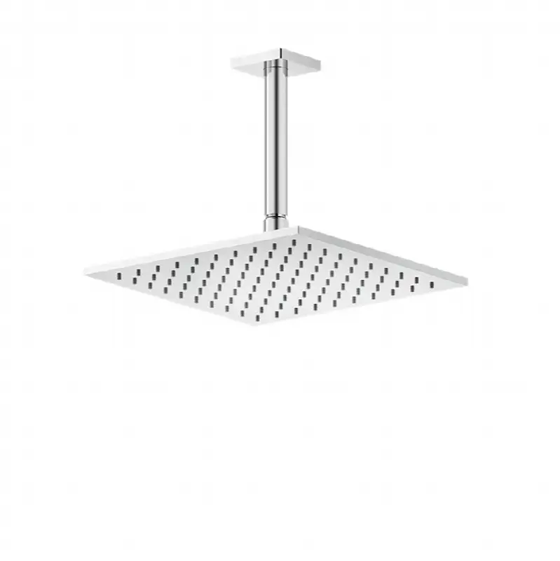 Ceiling-mounted adjustable shower head with arm.