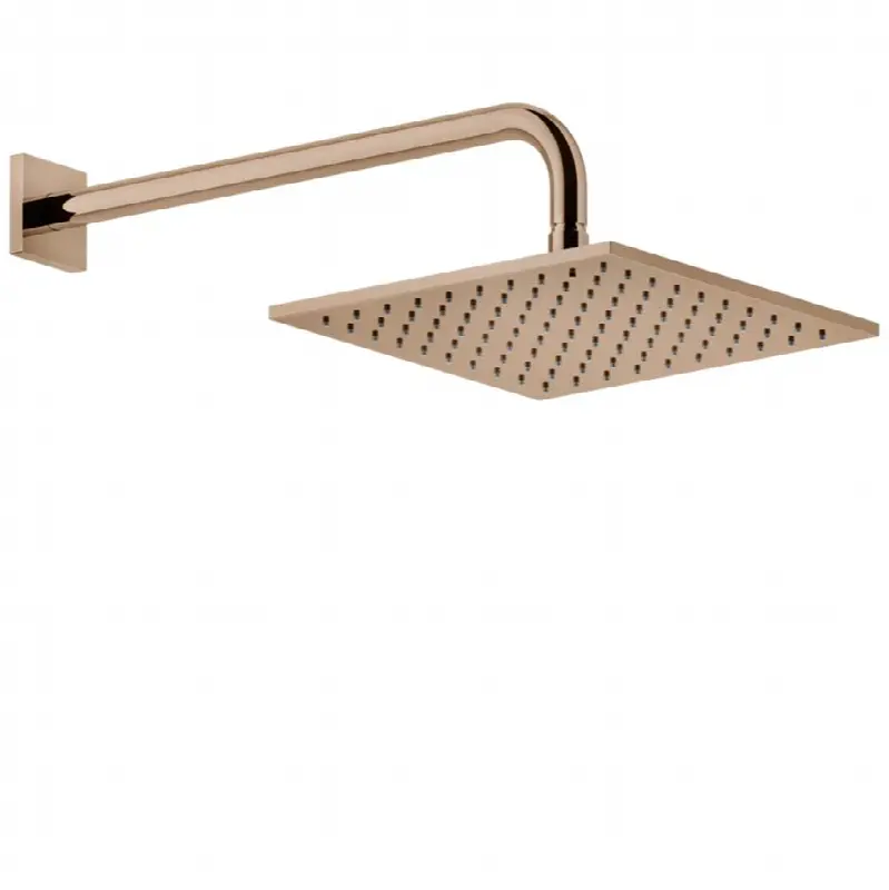 Wall-mounted adjustable shower head with arm.