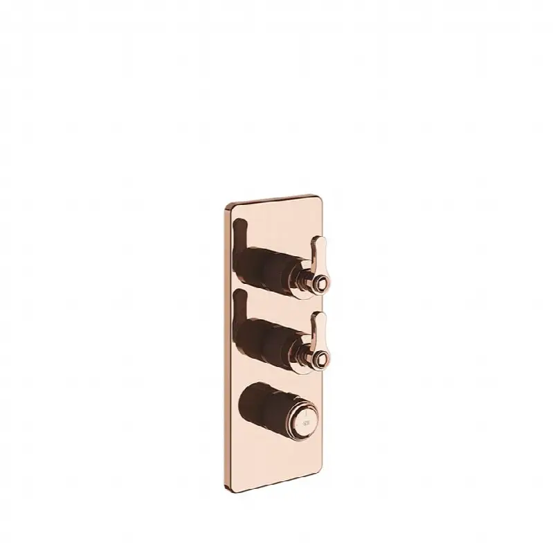 TRIM PARTS ONLY External parts for thermostatic with 2 volume controls