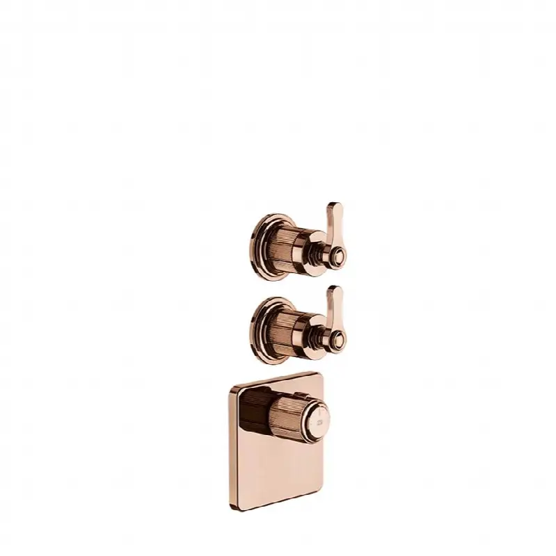TRIM PARTS ONLY External parts for thermostatic with 2 volume controls