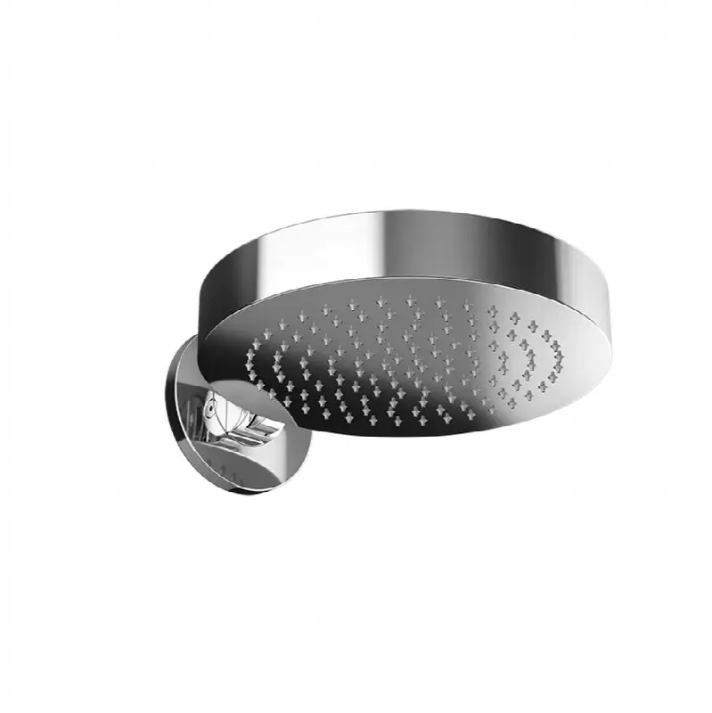 Wall-mounted anti limestone and adjustable head shower