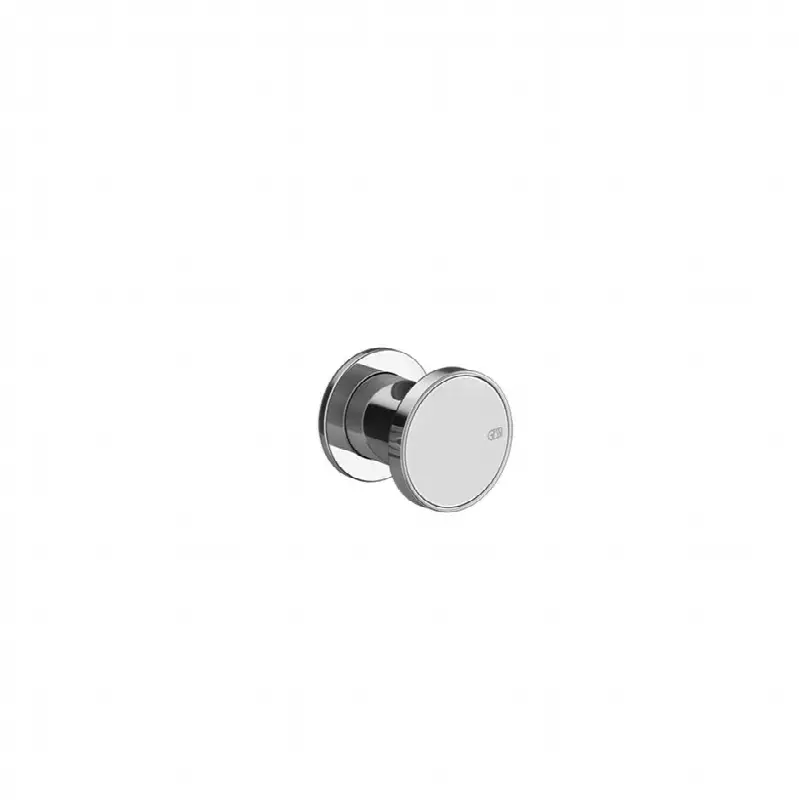Fixed handshower hook. Can be combined with the insert 66600 and 66602 of the desired finish.