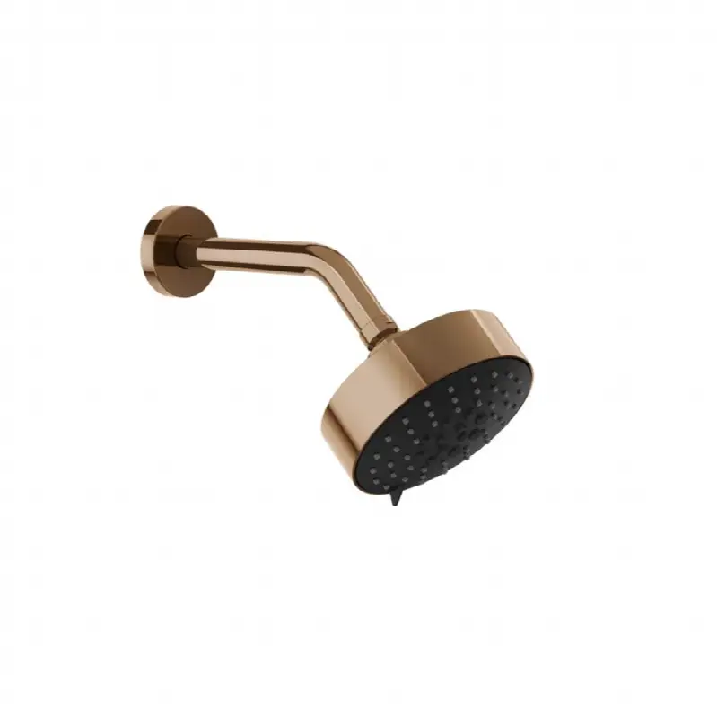 Wall-mounted adjustable multi-function shower head with arm: