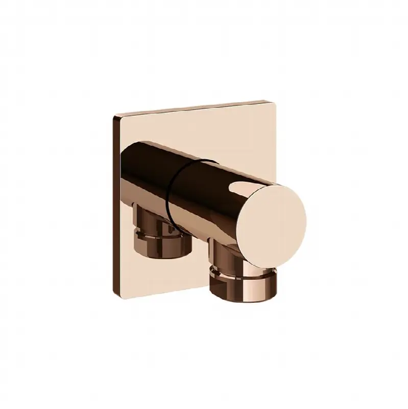 Wall elbow with backplate