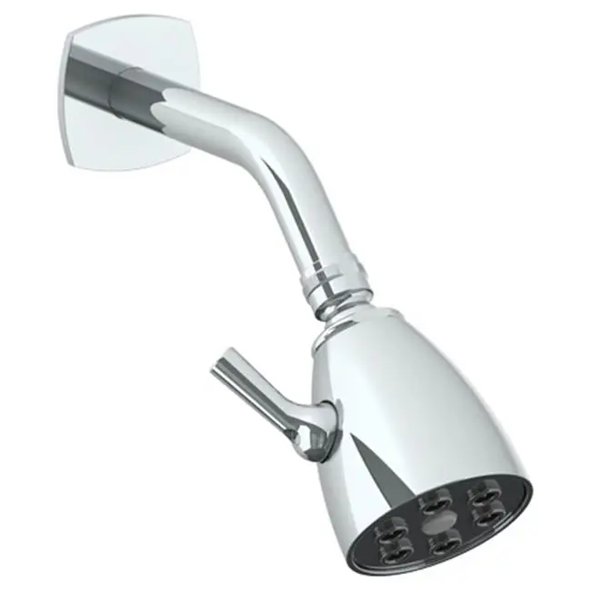 Wall Mounted Showerhead, 2-3/4" dia with 6" Arm and Flange