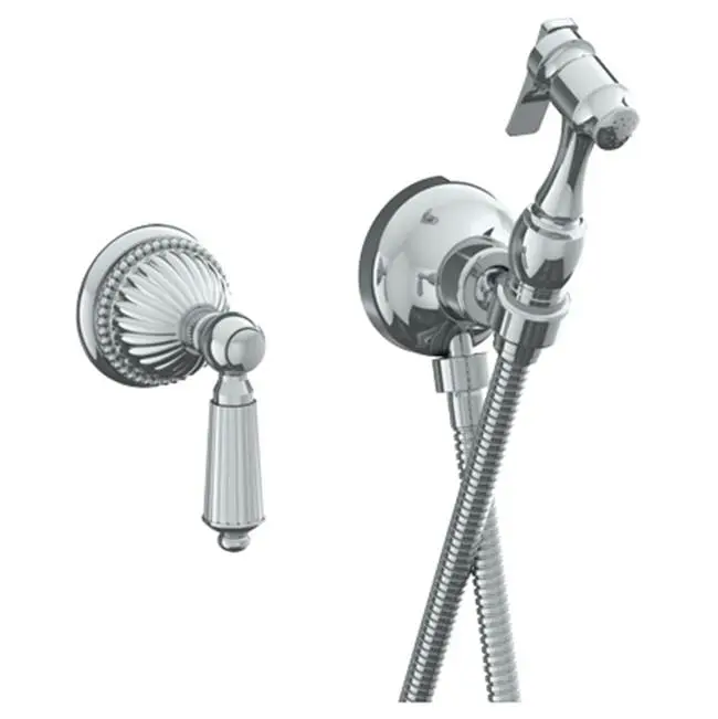 Wall Mounted Bidet Spray Set