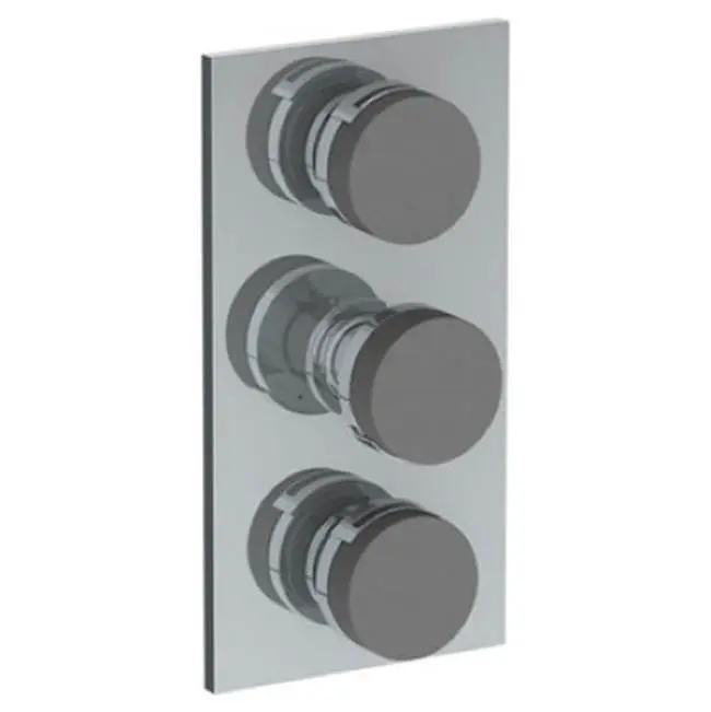 Wall Mounted Thermostatic Shower Trim With 2 Built-In Controls, 6 1/4" X 12"