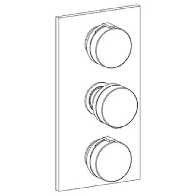Wall Mounted Thermostatic Shower Trim With 2 Built-In Controls, 6 1/4" X 12"