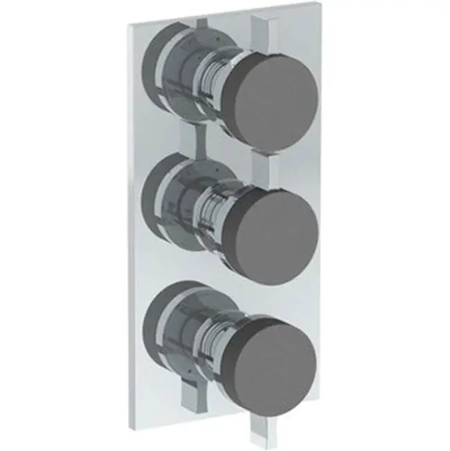 Wall Mounted Thermostatic Shower Trim With 2 Built-In Controls, 6 1/4" X 12"