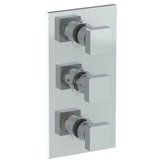 Wall Mounted Thermostatic Shower Trim with 2 built-in controls, 6 1/4" x 12"