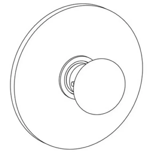 Wall mounted Thermostatic Shower Trim, 7 1/2" dia.