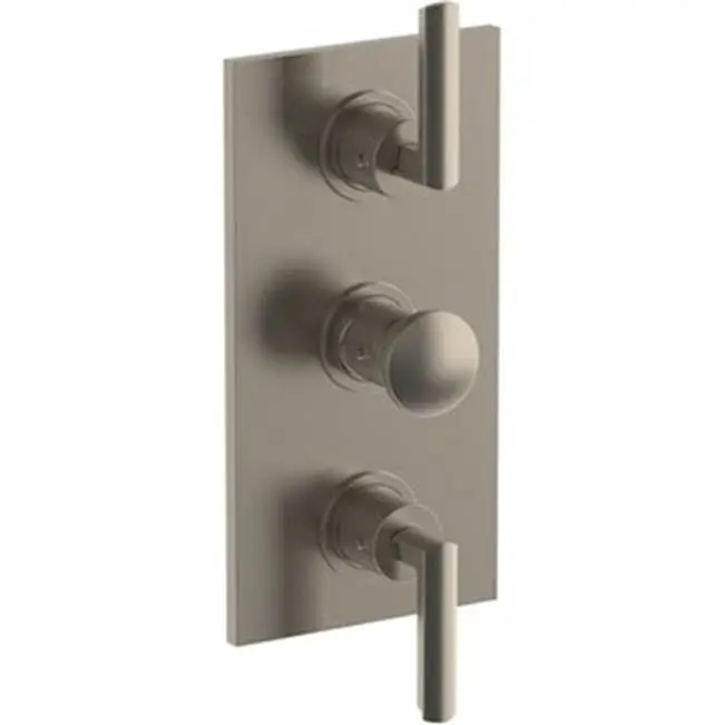 Wall Mounted Thermostatic Shower Trim with 2 built-in controls, 6 1/4" x 12"