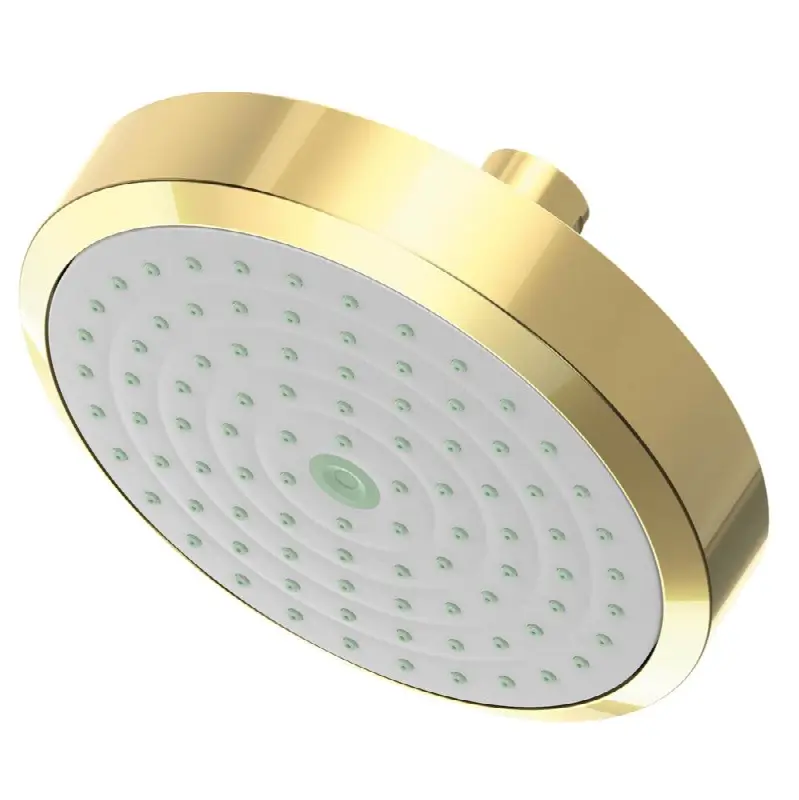 Other Single Function Shower Head