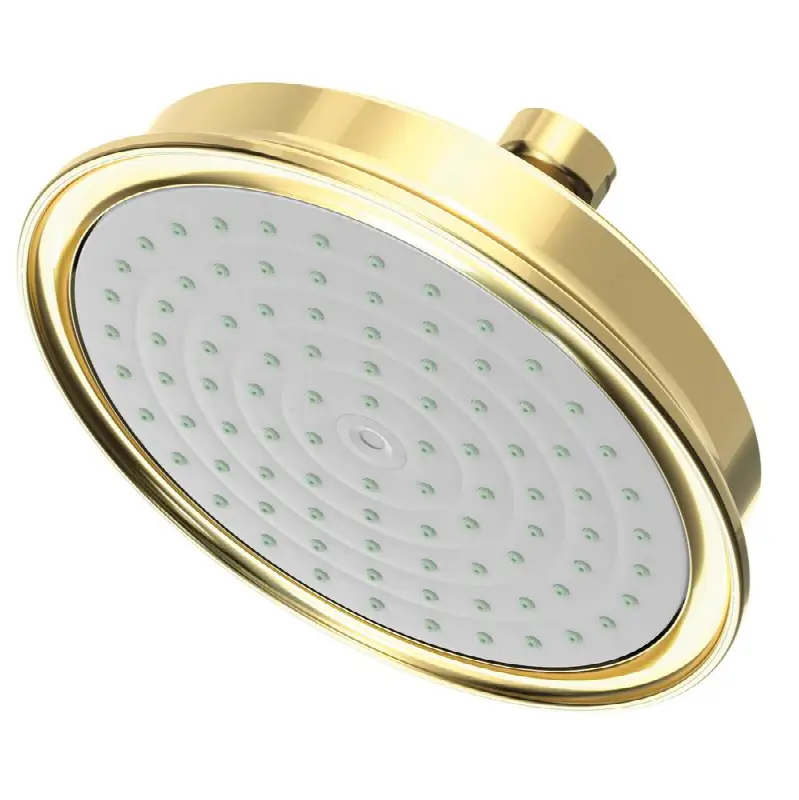 Other Single Function Shower Head