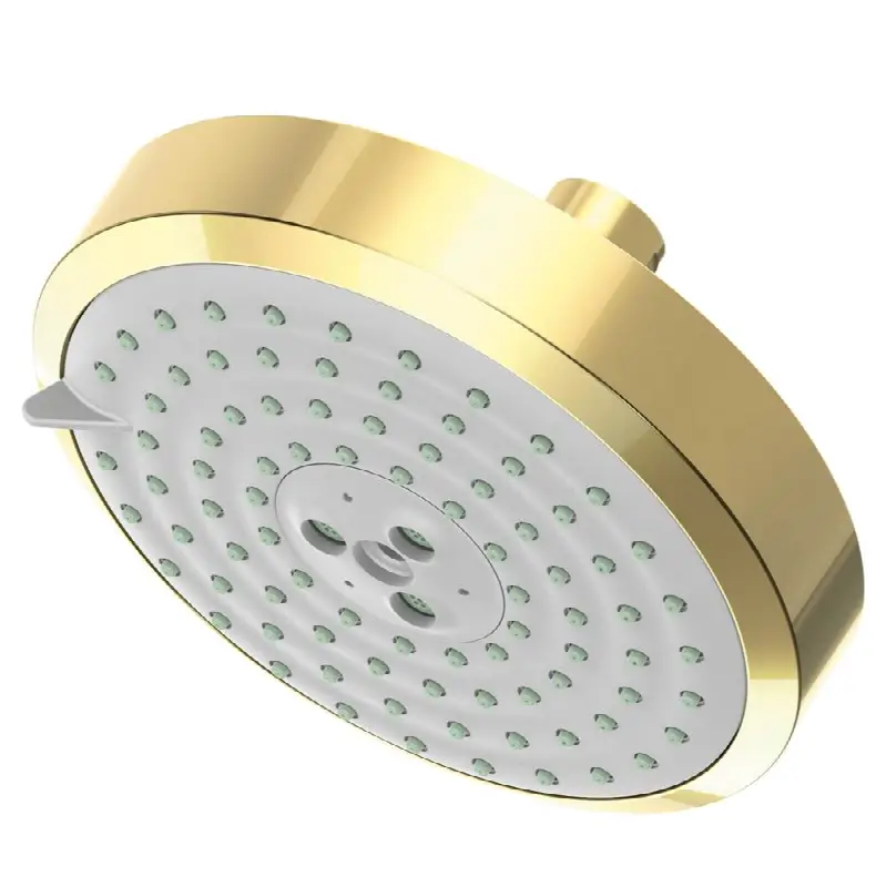 Other Multifunction Showerhead