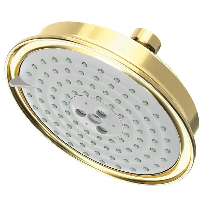 Other Multifunction Showerhead