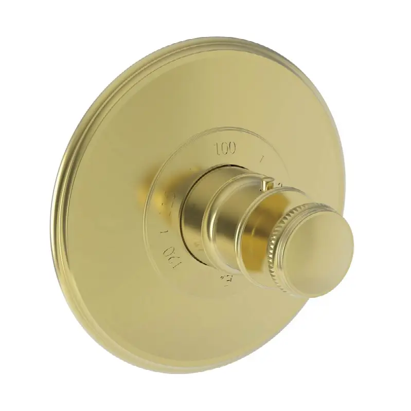 Ithaca® 3/4" Round Thermostatic Trim Plate with Handle