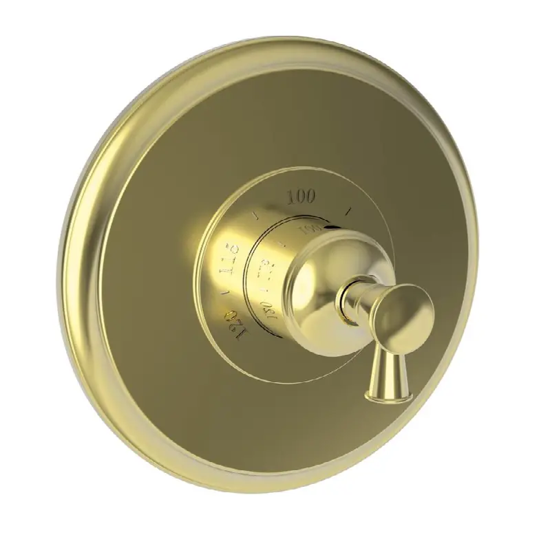 Vander 3/4" Round Thermostatic Trim Plate with Handle