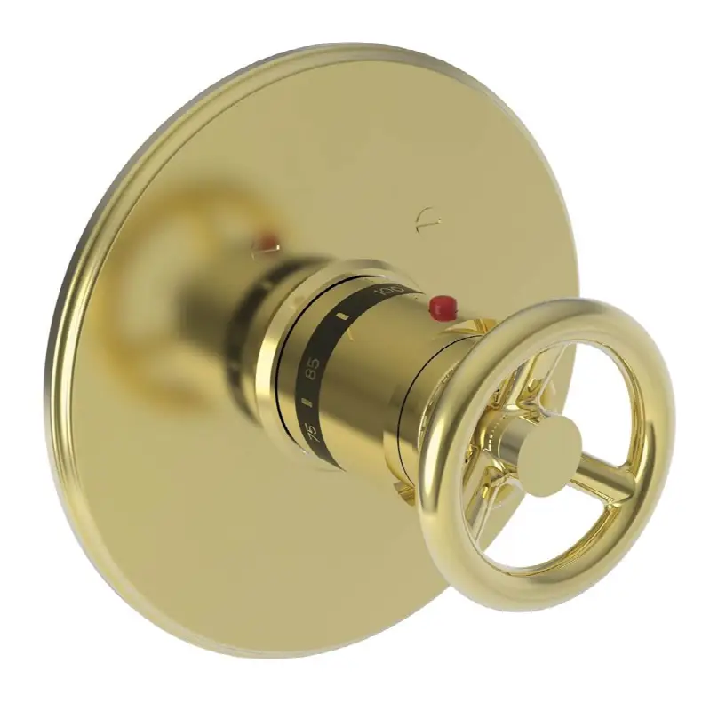 Slater® 3/4" Round Thermostatic Trim Plate with Handle