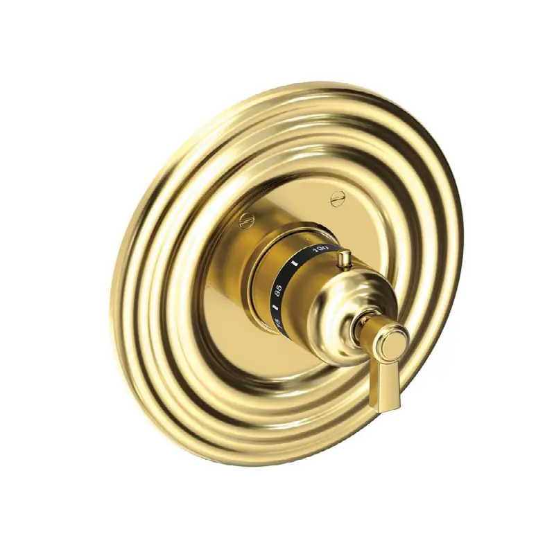 Astor® 3/4" Round Thermostatic Trim Plate with Handle