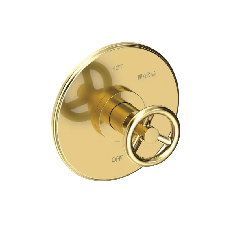 Slater® Balanced Pressure Shower Trim Plate with Handle. Less showerhead, arm and flange.