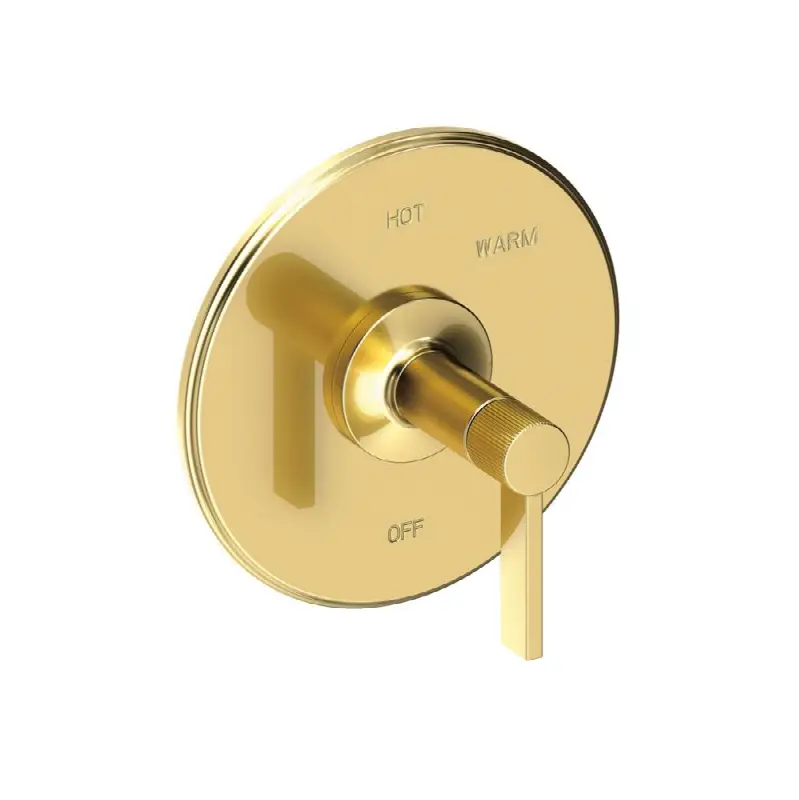 Pardees® Balanced Pressure Shower Trim Plate with Handle. Less showerhead, arm and flange.