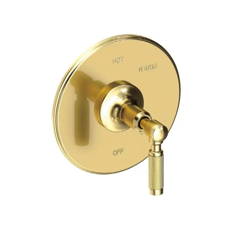 Clemens Balanced Pressure Shower Trim Plate with Handle. Less showerhead, arm and flange.