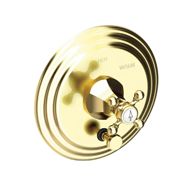 Metropole® Balanced Pressure Tub & Shower Diverter Plate with Handle. Less Showerhead, arm and flange.
