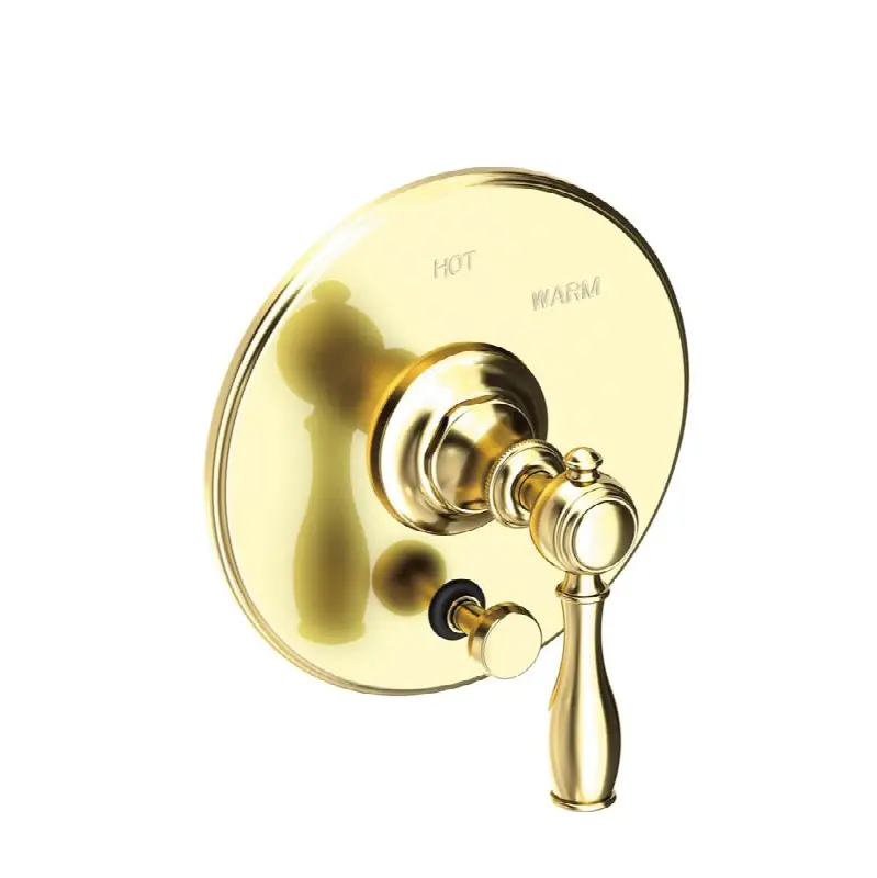 Victoria Balanced Pressure Tub & Shower Diverter Plate with Handle. Less Showerhead, arm and flange.