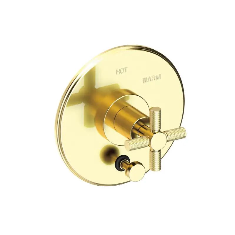 Muncy Balanced Pressure Tub & Shower Diverter Plate with Handle. Less Showerhead, arm and flange.